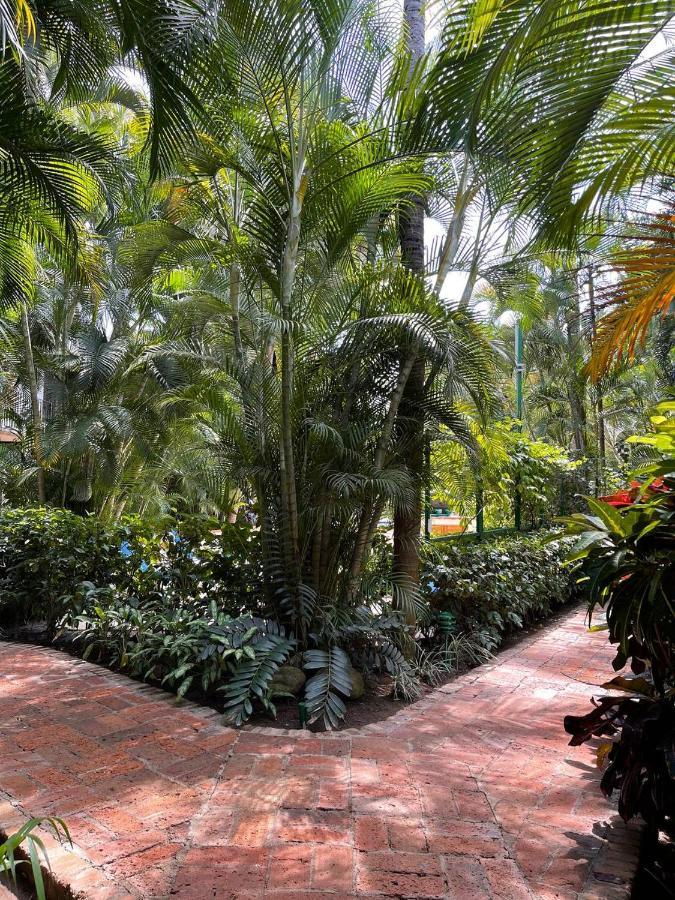 The Best Of Marbella Puerto Vallarta Exterior foto