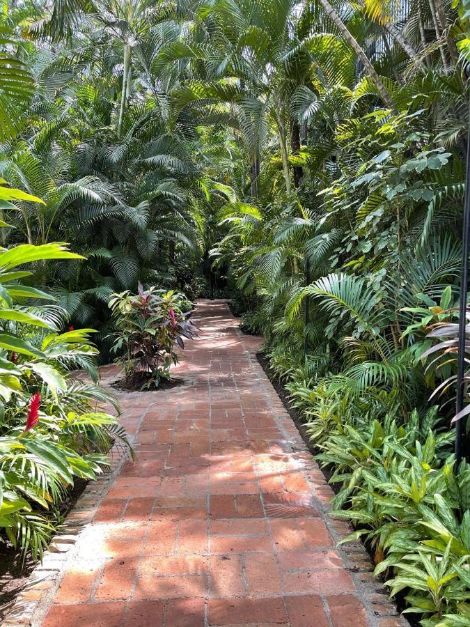 The Best Of Marbella Puerto Vallarta Exterior foto