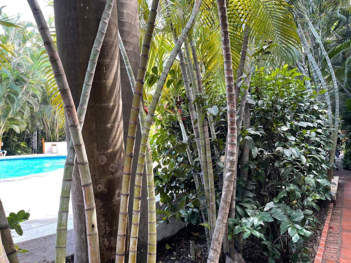 The Best Of Marbella Puerto Vallarta Exterior foto