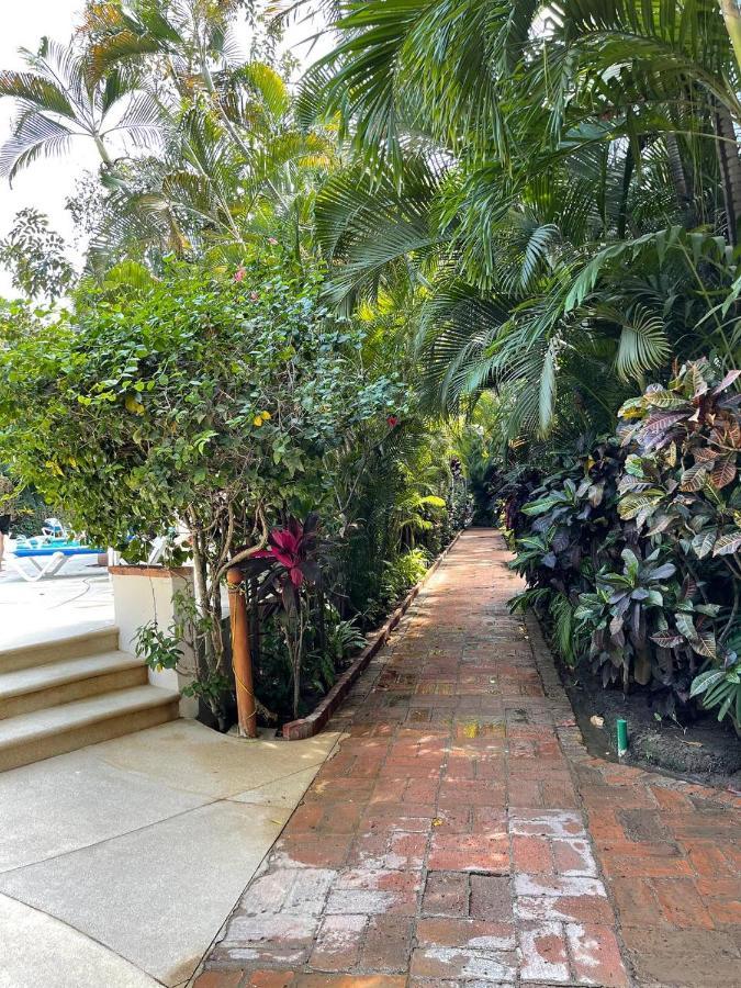 The Best Of Marbella Puerto Vallarta Exterior foto